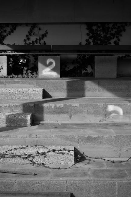 Modern courtroom interior representing professional practice areas